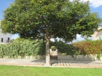 Inmueble destacado de Inmobiliaria Alcudia